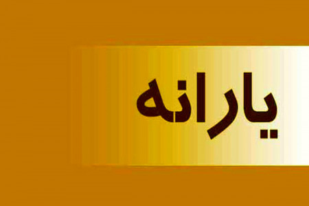 یارانه سال جدید