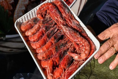 کشف ویروس کرونا در میگوهای صادراتی عربستان !