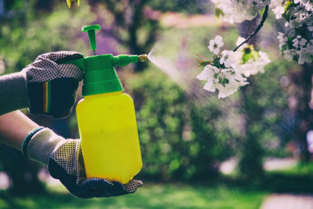 آفت کش ارگانیک برای دفع حشرات از خانه و باغچه + روش تهیه