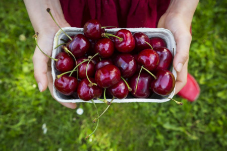چگونه گیلاس را برای طولانی مدت نگهداری کنیم؟