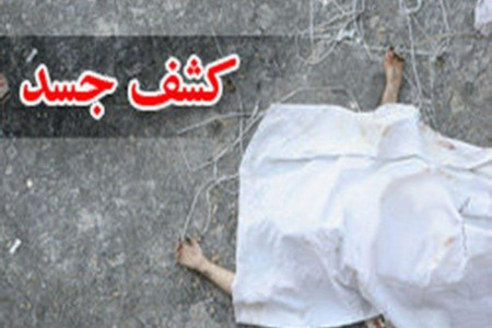 کشف جسد دختر 27 ساله داخل سطل زباله ای در تهران