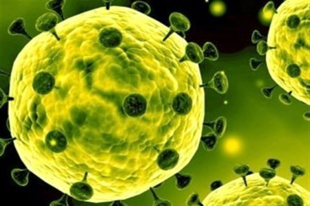 گلچینی از برترین و با حال ترین اشعار طنز کرونا