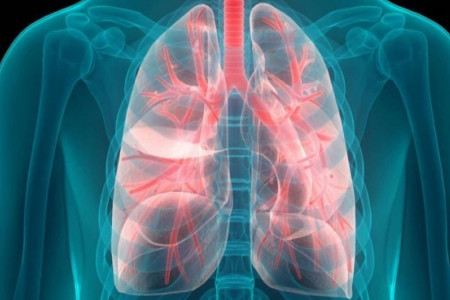 پزشکان فوق تخصص ریه در سنندج به همراه آدرس و تلفن