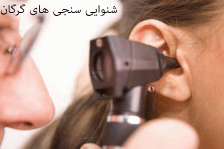 لیست شنواییسنجی و سمعک های گرگان به همراه آدرس و تلفن