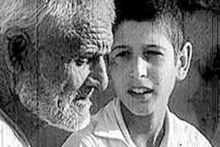 متن آهنگ پ مثل پلیکان