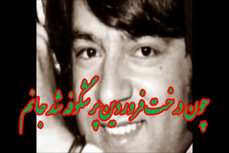 متن آهنگ چون درخت فروردین از احمد ظاهر Ahmad Zahir