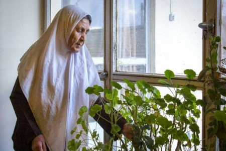 تاریخ روز جهانی مادربزرگ در تقویم 99 چه روزی است ؟