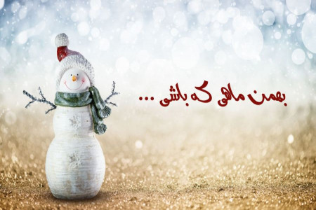 پیام در مورد بهمن ماهی که باشی
