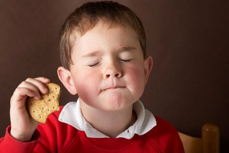 معرفی انواع بیسکویت ساقه طلایی و ویژگی های آن ها