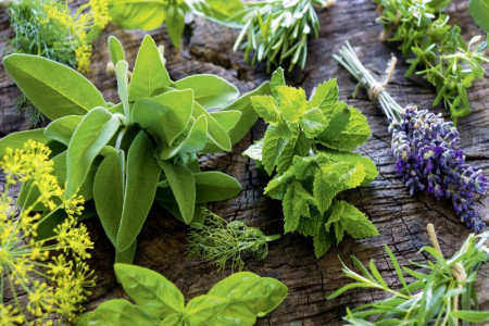 معرفی بهترین سبزی های معطر با عطر و طعمی شگفت انگیز