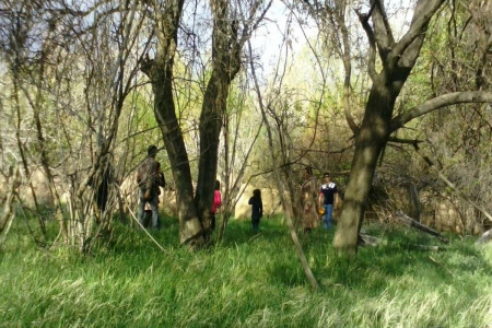 معرفی 10 مکان طبیعی برای سیزده بدر در کرمان