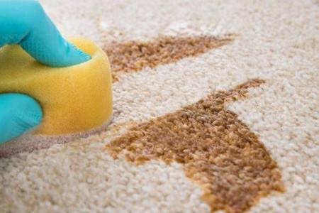 روش های جادویی برای تمیز کردن لکه چای از روی فرش