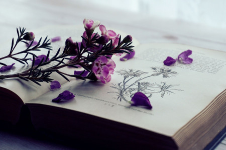 30 عکس کتاب فانتزی و لاکچری برای پروفایل