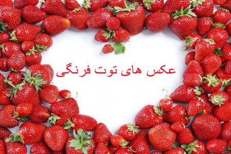 60 عکس فانتزی و خاص توت فرنگی