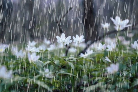 باد شدید و سرمای زیر صفر در پایتخت