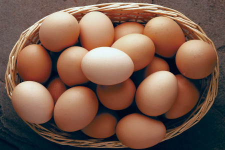 داستان تبانی در قیمت تخم مرغ چه بود؟