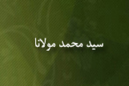 رحلت علامه سيدمحمد مولانا عالم و مؤلف(1363 ق)