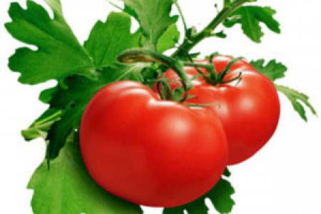  معجزه آب گوجه فرنگی را بدانید!