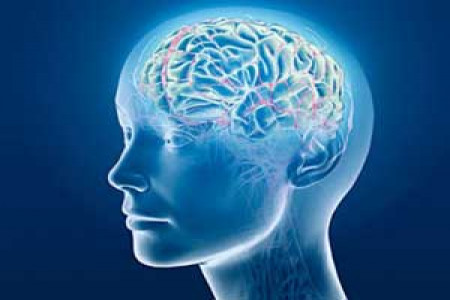 آیا حافظه تان ضعیف است؟