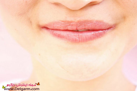 چگونگی ساخت براق کننده لب گیاهی