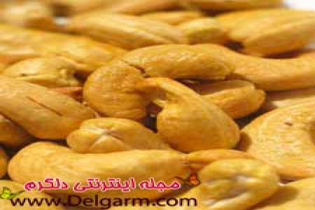 خواص بادام هندی + مس های درونش
