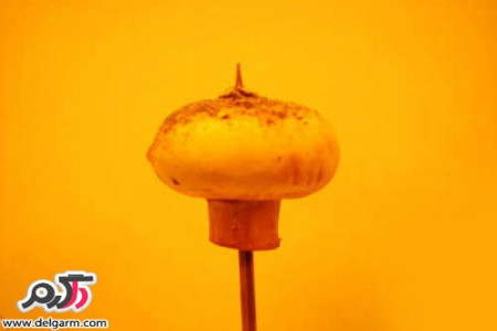 روش تهیه قارچ خوش خوراک گیاهی در پنج دقیقه ای