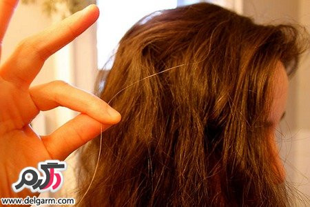 میوه های ضد دلیل سفید شدن مو