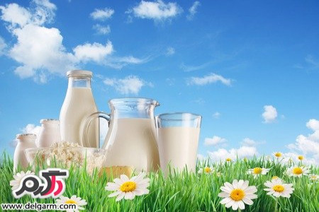 معرفی خواص اعجاب انگيز شیر بز