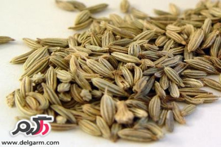خواص اعجاب انگیز رازیانه