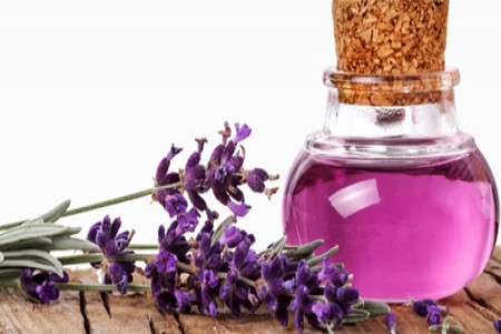 اسطوخودوس چه گیاهی است؟ و خواص درمانی اسطوخودوس برای سلامت و زیبایی چیست؟