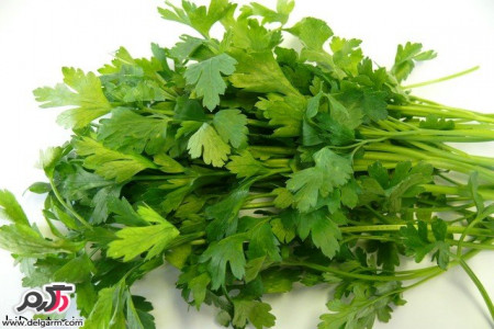 کاملترین مقاله در مورد خواص جعفری + عکس