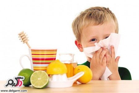 چند خوراکی مفید برای جلوگیری از سرما خوردگی