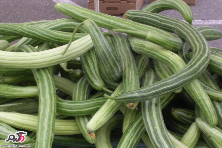 خواص خیار چنبر