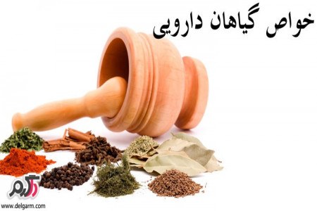 خواص ترنجبین در طب سنتی