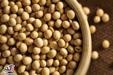 خواص و فواید درمانی سویا برای سلامت بدن
