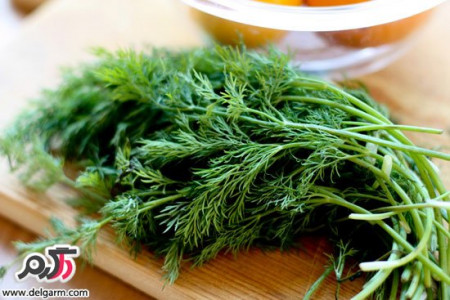 خواص شوید برای لاغری از نظر طب سنتی