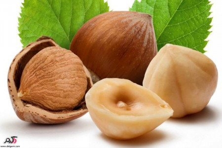 فواید درمانی بی نظیر فندق
