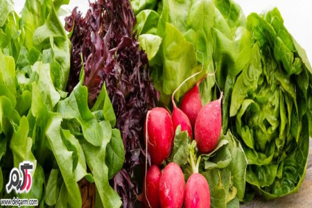 خواص سبزی خوردن برای سلامتی بدن