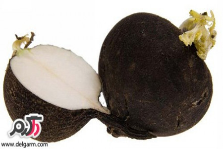 خواص و فواید بی نظیر ترب سیاه