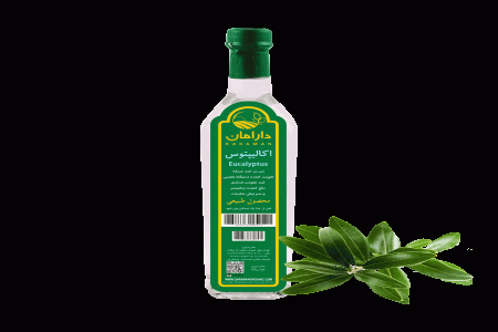 خواص دارویی و درمانی اکالیپتوس (طبع گرم)