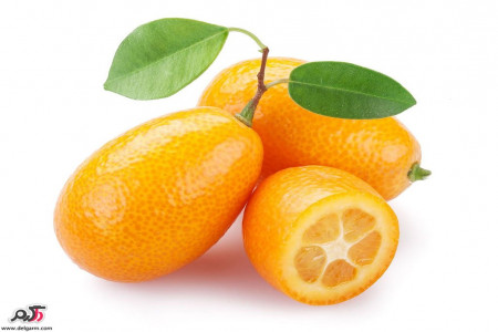 خواص جالب میوه کامکوات (پرتقال های مینیاتوری)