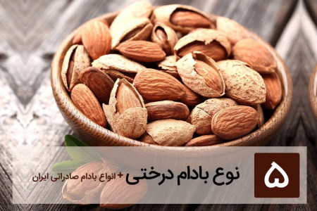 آشنایی با خواص بادام درختی و انواع آنها + عکس