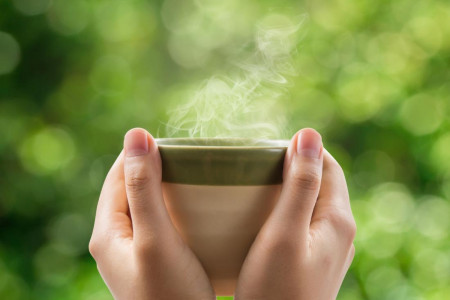 خواص درمانی و دارویی بیدمشک و چای بیدمشک