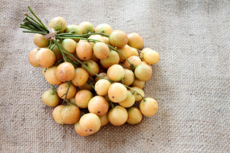 انگور برمه و خواص بی نظیرش