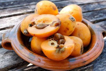 اثرات درمانی ازگیل در طب سنتی