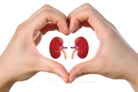 بهترین خوراکی ها برای پاکسازی کلیه