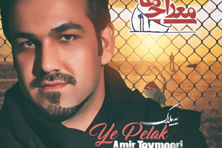 متن و دانلود آهنگ یه پلاک از امیر تیموری (Amir Teymoori Ye Pelak)