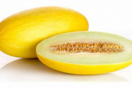 ۱۵ خاصیت اثبات شده دارویی و درمانی تخم خربزه