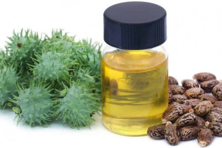 تشخیص روغن کرچک اصل : چگونه از دانه کرچک روغن بگیریم ؟