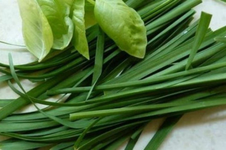 از خواص سبزی تره چه میدانید؟